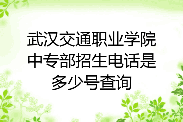 武汉交通职业学院中专部招生电话是多少号查询