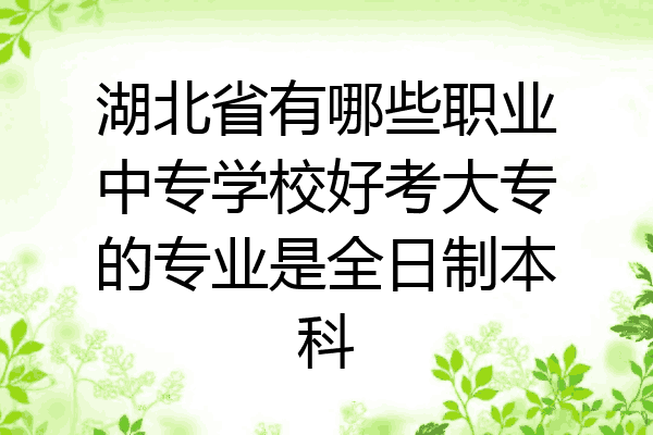 湖北省有哪些职业中专学校好考大专的专业是全日制本科