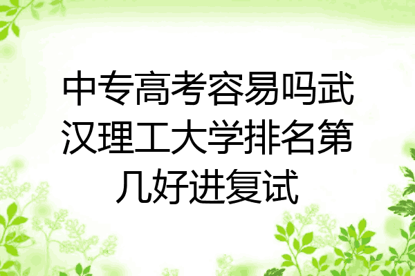 中专高考容易吗武汉理工大学排名第几好进复试