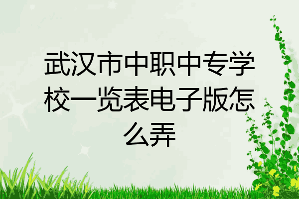 武汉市中职中专学校一览表电子版怎么弄