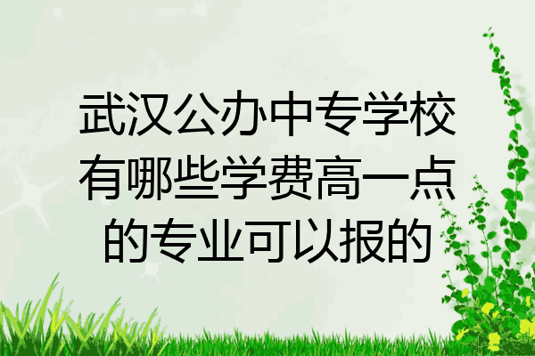 武汉公办中专学校有哪些学费高一点的专业可以报的