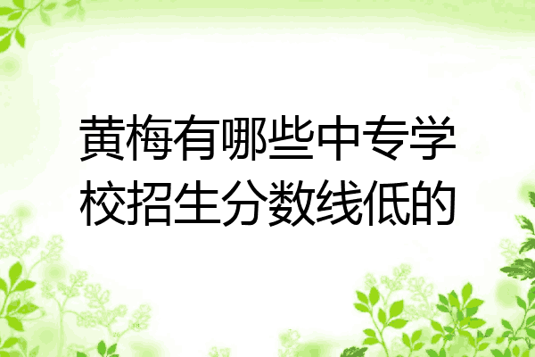 黄梅有哪些中专学校招生分数线低的