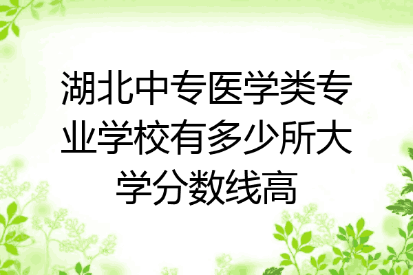 湖北中专医学类专业学校有多少所大学分数线高