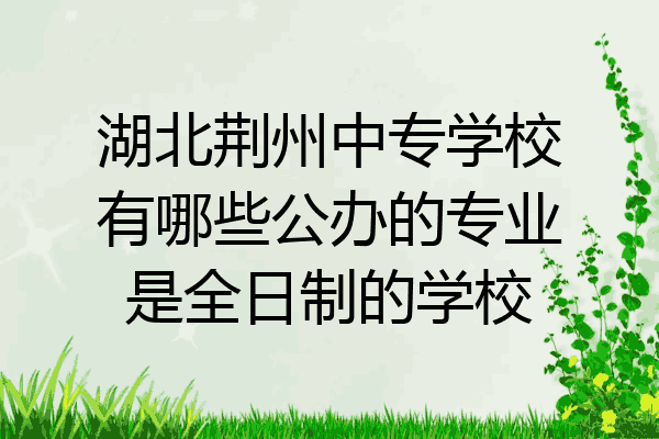 湖北荆州中专学校有哪些公办的专业是全日制的学校