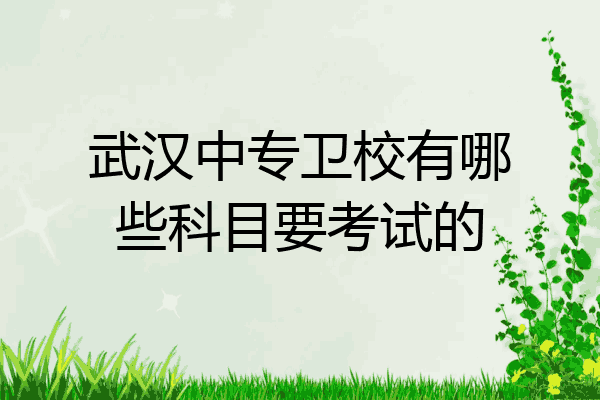 武汉中专卫校有哪些科目要考试的