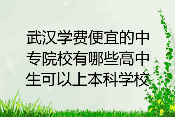 武汉学费便宜的中专院校有哪些高中生可以上本科学校