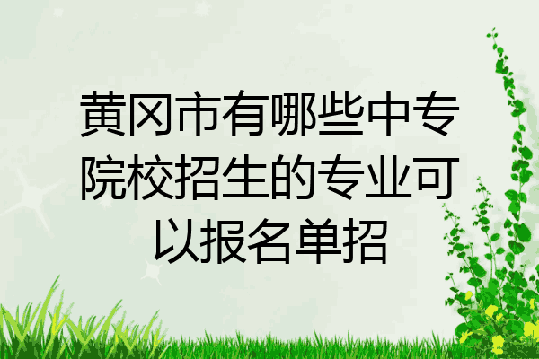 黄冈市有哪些中专院校招生的专业可以报名单招