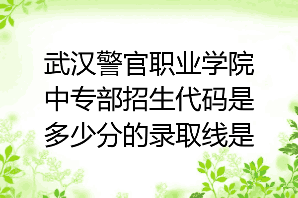 武汉警官职业学院中专部招生代码是多少分的录取线是