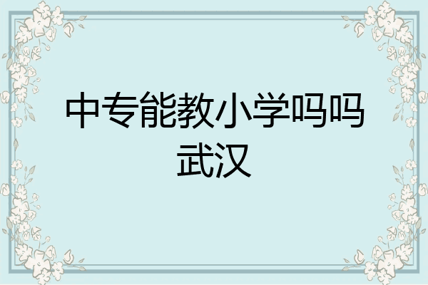 中专能教小学吗吗武汉