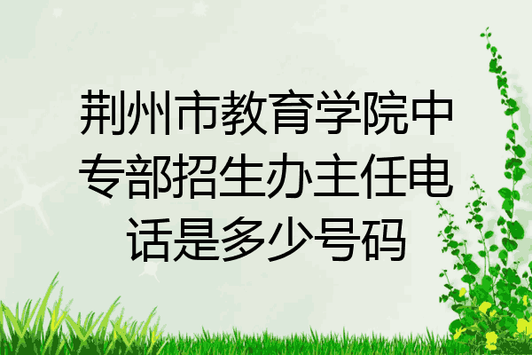 荆州市教育学院中专部招生办主任电话是多少号码