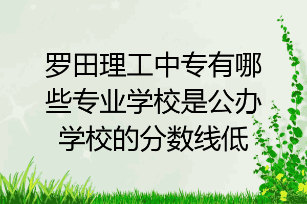 罗田理工中专有哪些专业学校是公办学校的分数线低