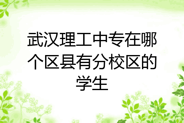 武汉理工中专在哪个区县有分校区的学生