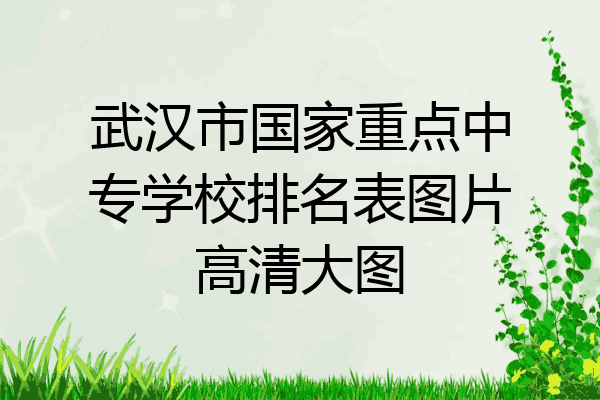 武汉市国家重点中专学校排名表图片高清大图