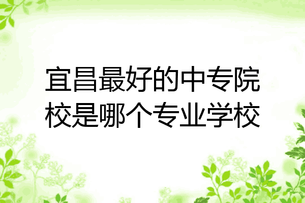 宜昌最好的中专院校是哪个专业学校