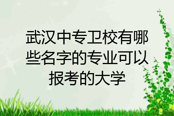 武汉中专卫校有哪些名字的专业可以报考的大学