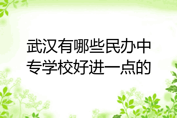 武汉有哪些民办中专学校好进一点的