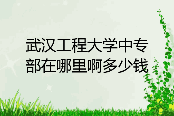 武汉工程大学中专部在哪里啊多少钱