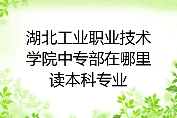 湖北工业职业技术学院中专部在哪里读本科专业