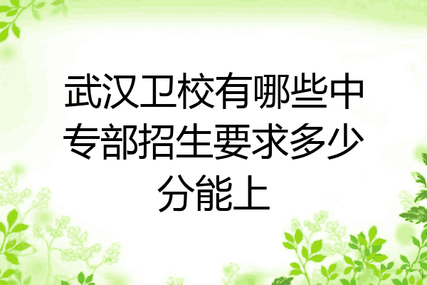 武汉卫校有哪些中专部招生要求多少分能上