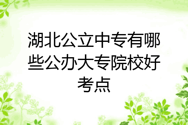 湖北公立中专有哪些公办大专院校好考点