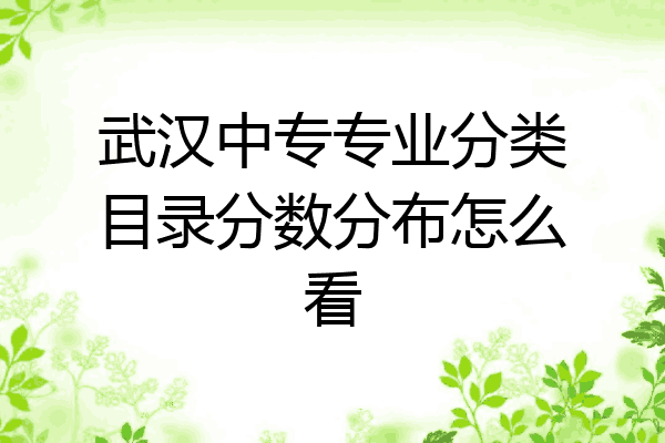 武汉中专专业分类目录分数分布怎么看