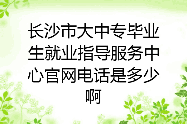 长沙市大中专毕业生就业指导服务中心官网电话是多少啊