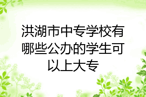 洪湖市中专学校有哪些公办的学生可以上大专