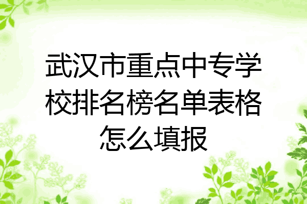 武汉市重点中专学校排名榜名单表格怎么填报