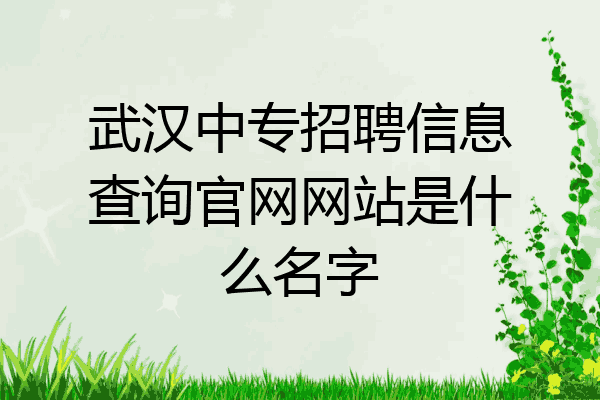 武汉中专招聘信息查询官网网站是什么名字