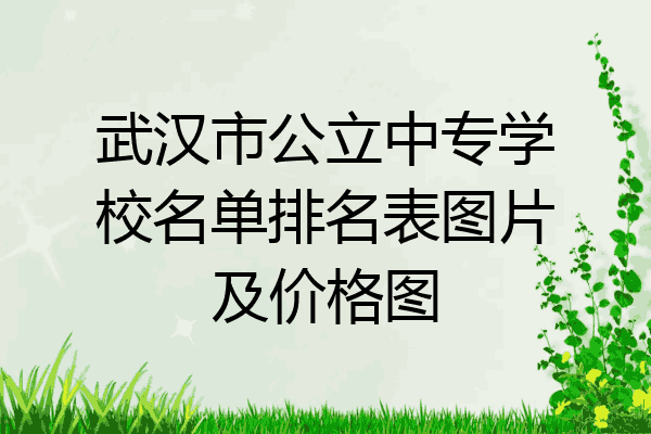 武汉市公立中专学校名单排名表图片及价格图