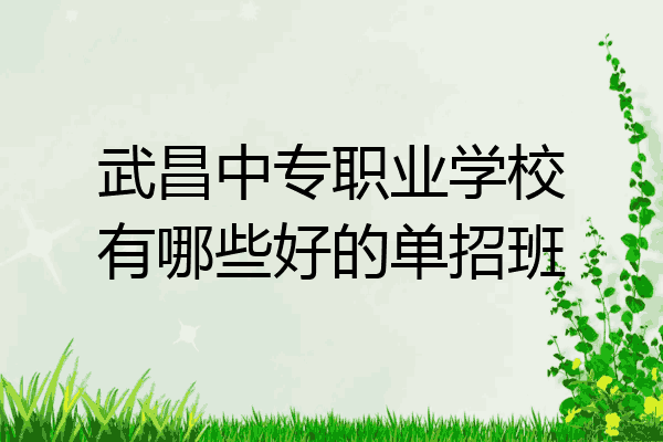 武昌中专职业学校有哪些好的单招班
