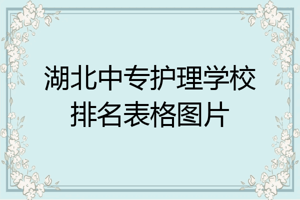 湖北中专护理学校排名表格图片
