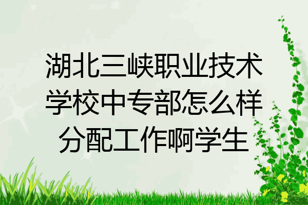 湖北三峡职业技术学校中专部怎么样分配工作啊学生