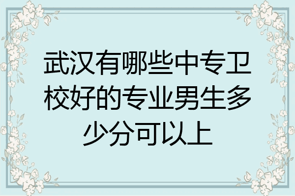 武汉有哪些中专卫校好的专业男生多少分可以上