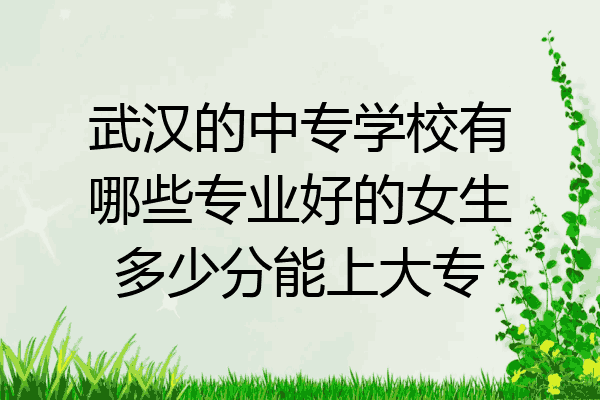 武汉的中专学校有哪些专业好的女生多少分能上大专