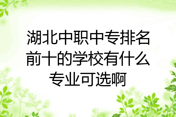 湖北中职中专排名前十的学校有什么专业可选啊