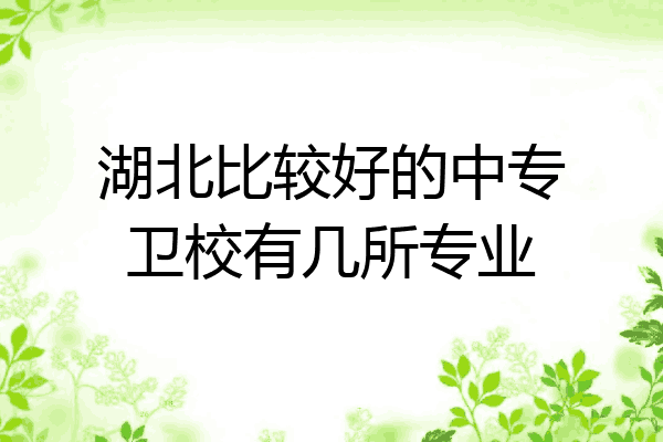 湖北比较好的中专卫校有几所专业