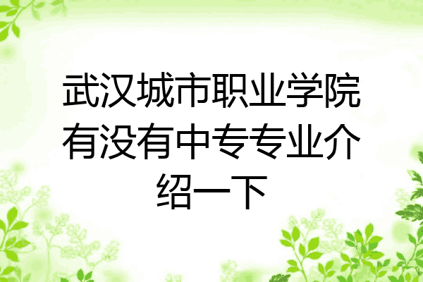武汉城市职业学院有没有中专专业介绍一下