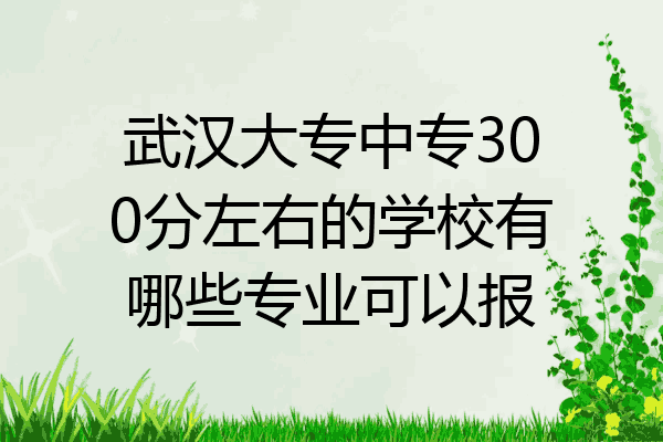 武汉大专中专300分左右的学校有哪些专业可以报