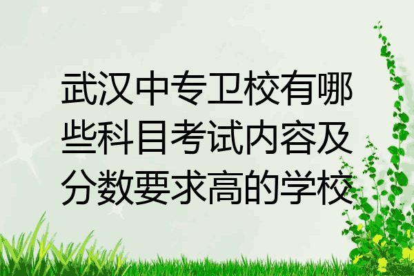 武汉中专卫校有哪些科目考试内容及分数要求高的学校