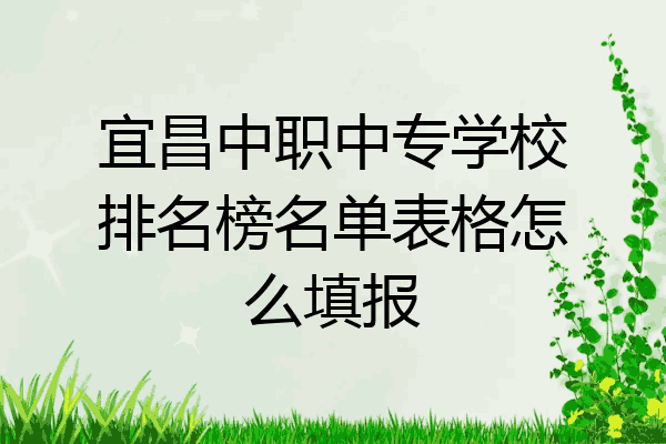 宜昌中职中专学校排名榜名单表格怎么填报