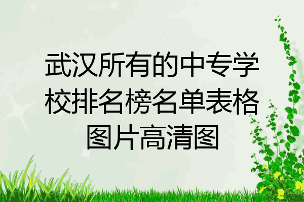 武汉所有的中专学校排名榜名单表格图片高清图