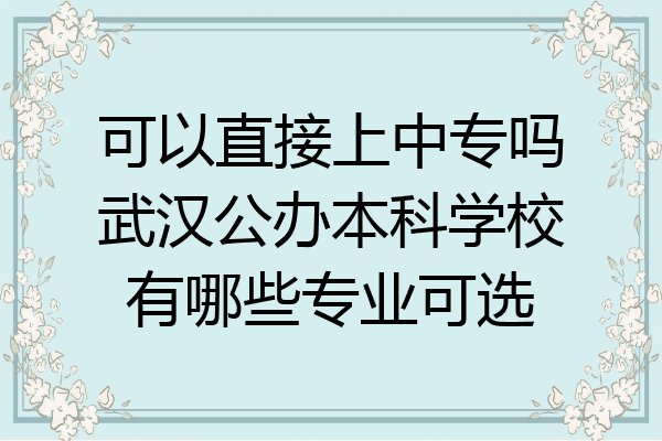 可以直接上中专吗武汉公办本科学校有哪些专业可选