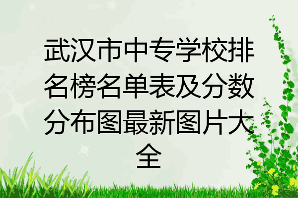 武汉市中专学校排名榜名单表及分数分布图最新图片大全