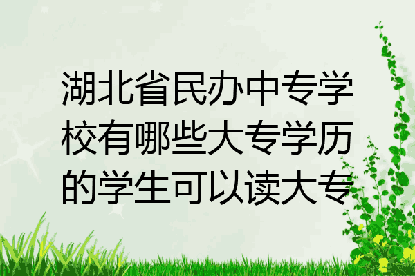 湖北省民办中专学校有哪些大专学历的学生可以读大专