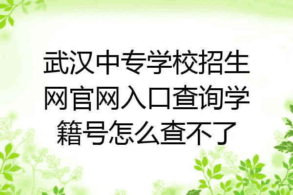 武汉中专学校招生网官网入口查询学籍号怎么查不了