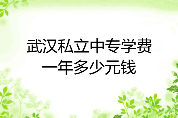 武汉私立中专学费一年多少元钱