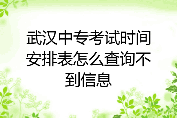 武汉中专考试时间安排表怎么查询不到信息