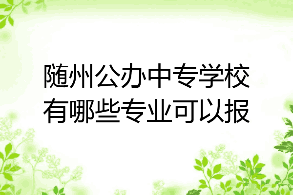 随州公办中专学校有哪些专业可以报