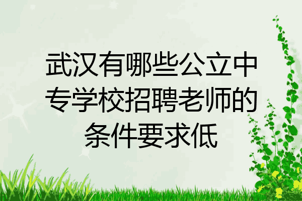 武汉有哪些公立中专学校招聘老师的条件要求低